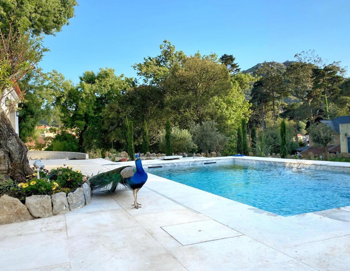 A Capela Villa Sintra Kültér fotó