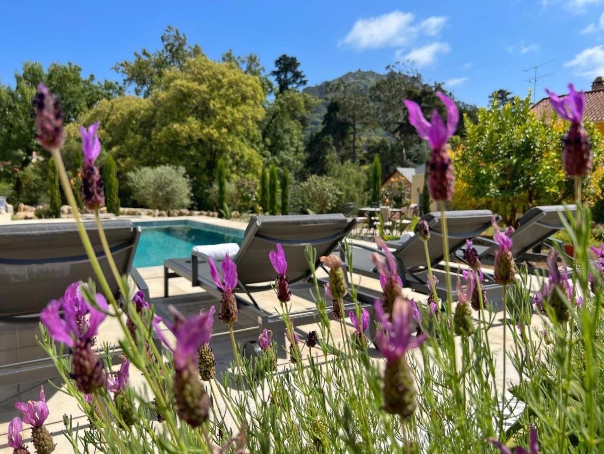 A Capela Villa Sintra Kültér fotó