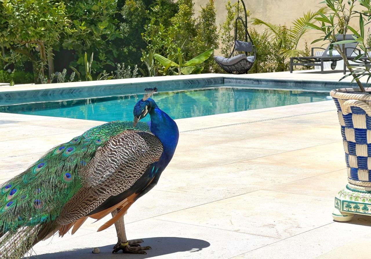 A Capela Villa Sintra Kültér fotó